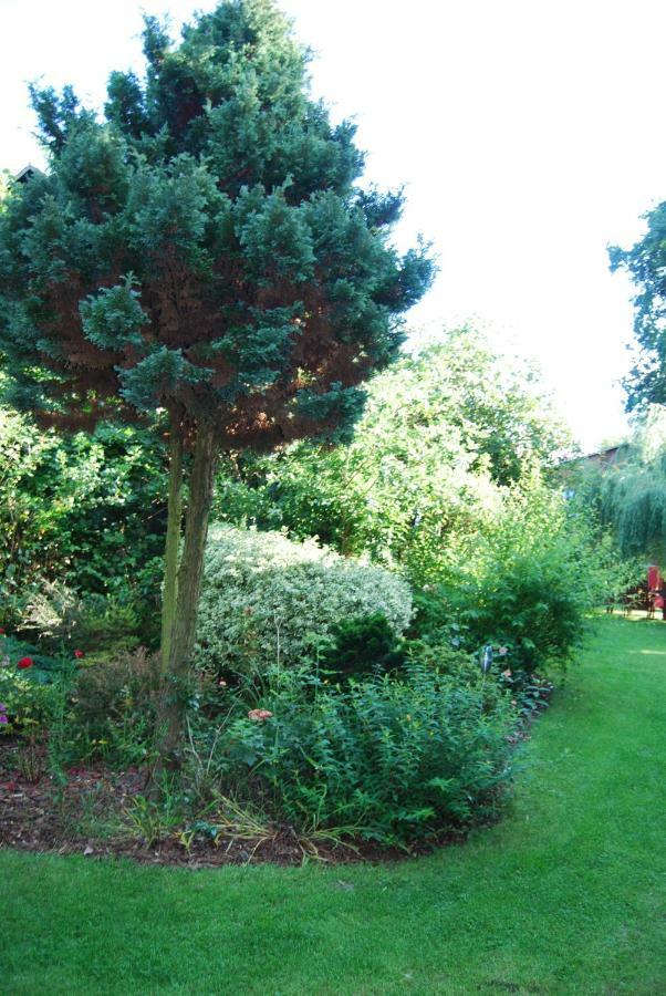 Ferienwohnung Aronia Warlow Bagian luar foto